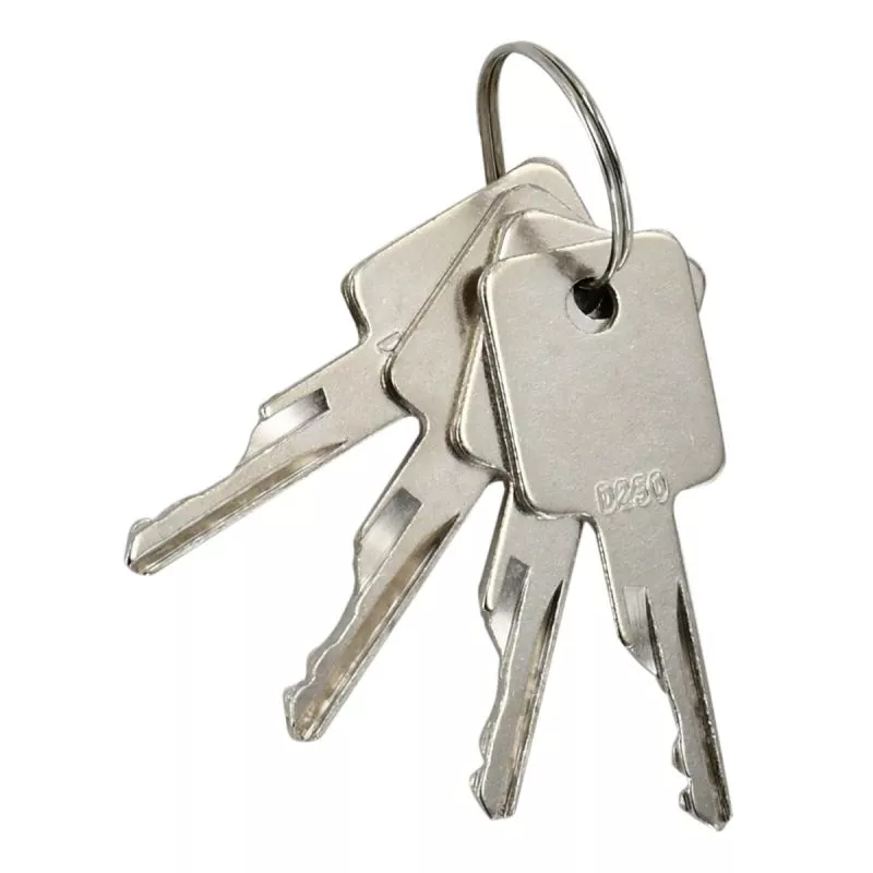 4-pcs-ignition-keys-d250-bobcat 4 Pcs Ignition Keys D250 For Bobcat